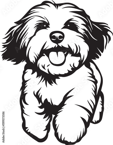 Canvas-taulu running cute havanese dog