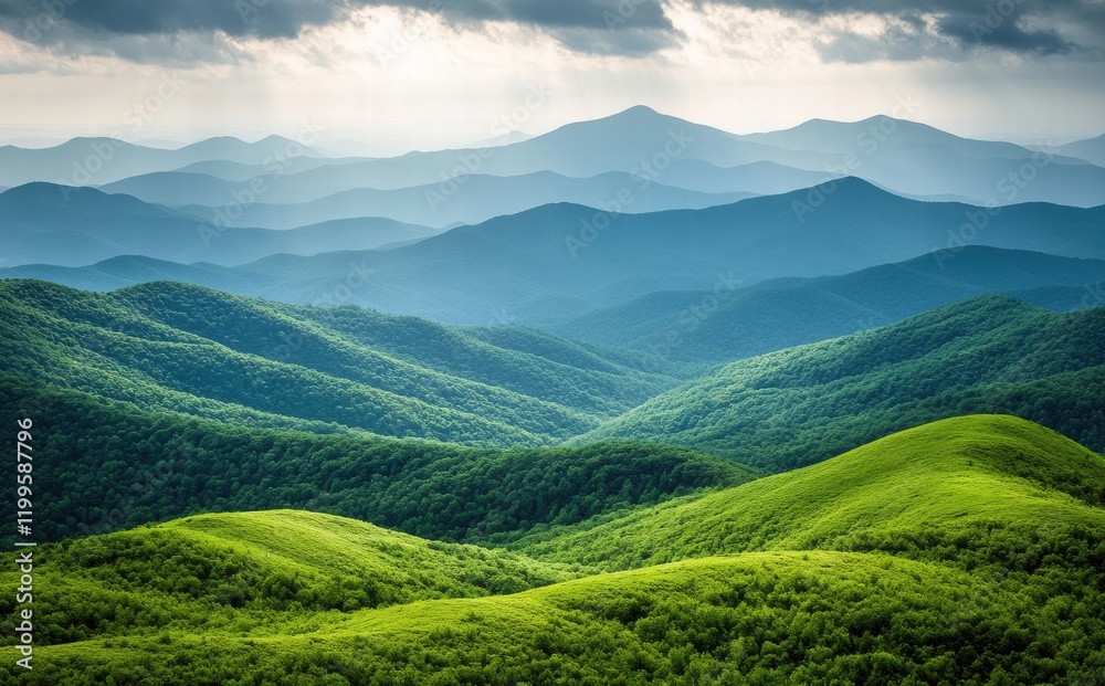 Fototapeta premium The mountains are covered in lush green trees