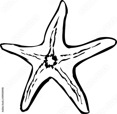 Beautiful vector starfish in black color, sea animal icon