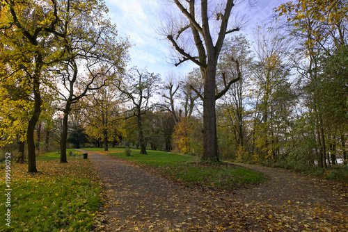 Rhein Landschaft  Park Anlage im bunten Herbst mit Bäumen Wasser Wellen Wind ruhige Szene in Deutschland nähe Köln ohne Menschen niemand  photo