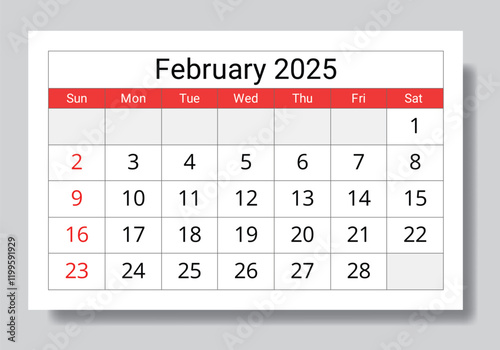 2025 february calendar. Vector English monthly page calendars