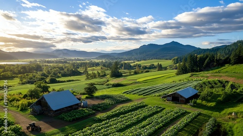 Organic pumpkin patch with hayrides and seasonal events, doubling as an agritourism destination