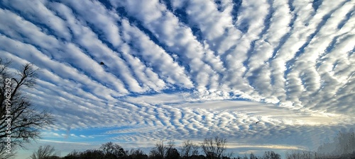 stunning Altostratus clouds