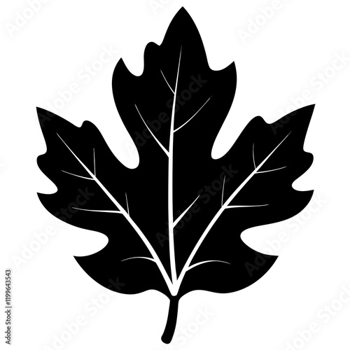 oak leaf isolated on white