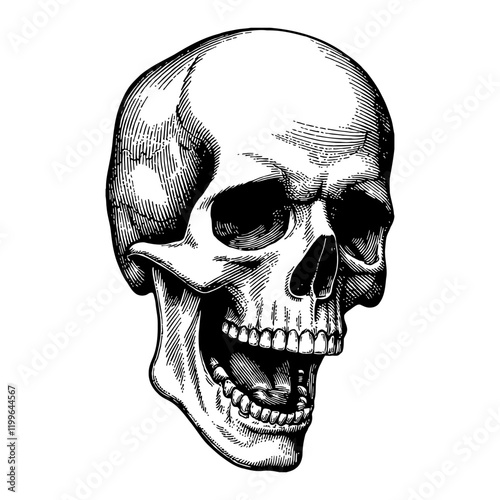 Screaming Skull Head in Detailed Black and White Outline Line Art Drawing Engraving Style