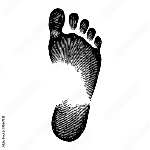 Detailed Human Footprint Print Black and White Outline Line Art Drawing Engraving Illustration