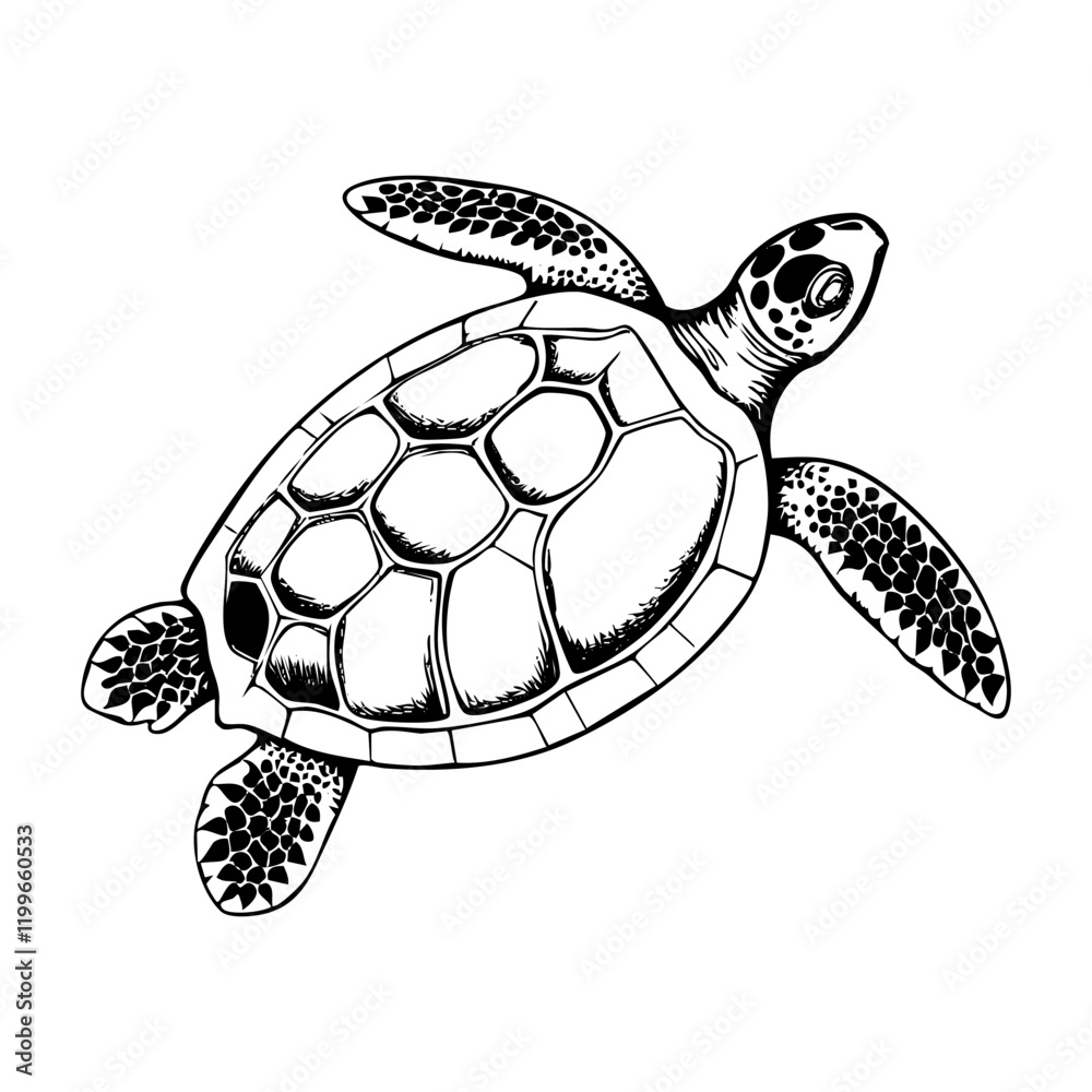 Fototapeta premium Sea turtle engraving black and white outline. Scratch board imitation. illustrated in vintage line art style on a white background. 