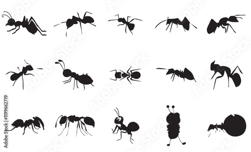 ant silhouette set