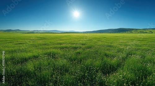 Summer Meadow Under Blue Sky photo