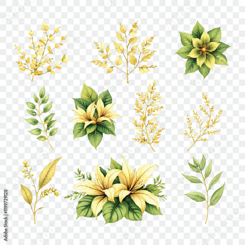 Watercolor vector plants flowers isolated on transparent background. Floristic elements