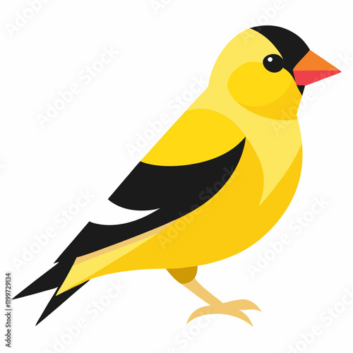 goldfinch vector illustration