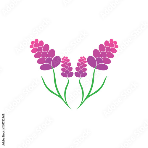 Beautiful lavender flower icon vector