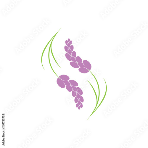 Beautiful lavender flower icon vector