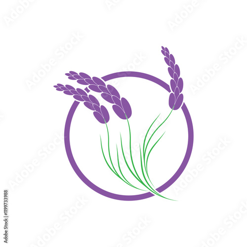 Beautiful lavender flower icon vector