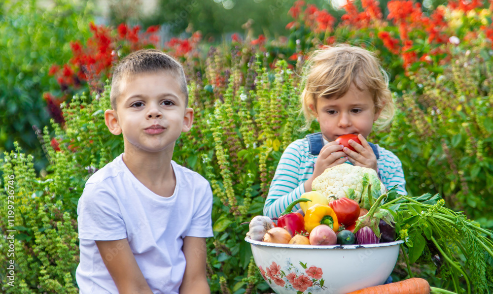 Children with a bowl of vegetables in the garden family harvest gathering Children with a bowl of vegetables in the garden family harvest gathering