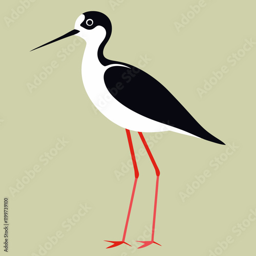 vector illustration of a black necked stilt