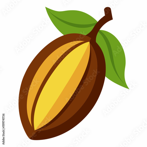 cacao pod vector illustration