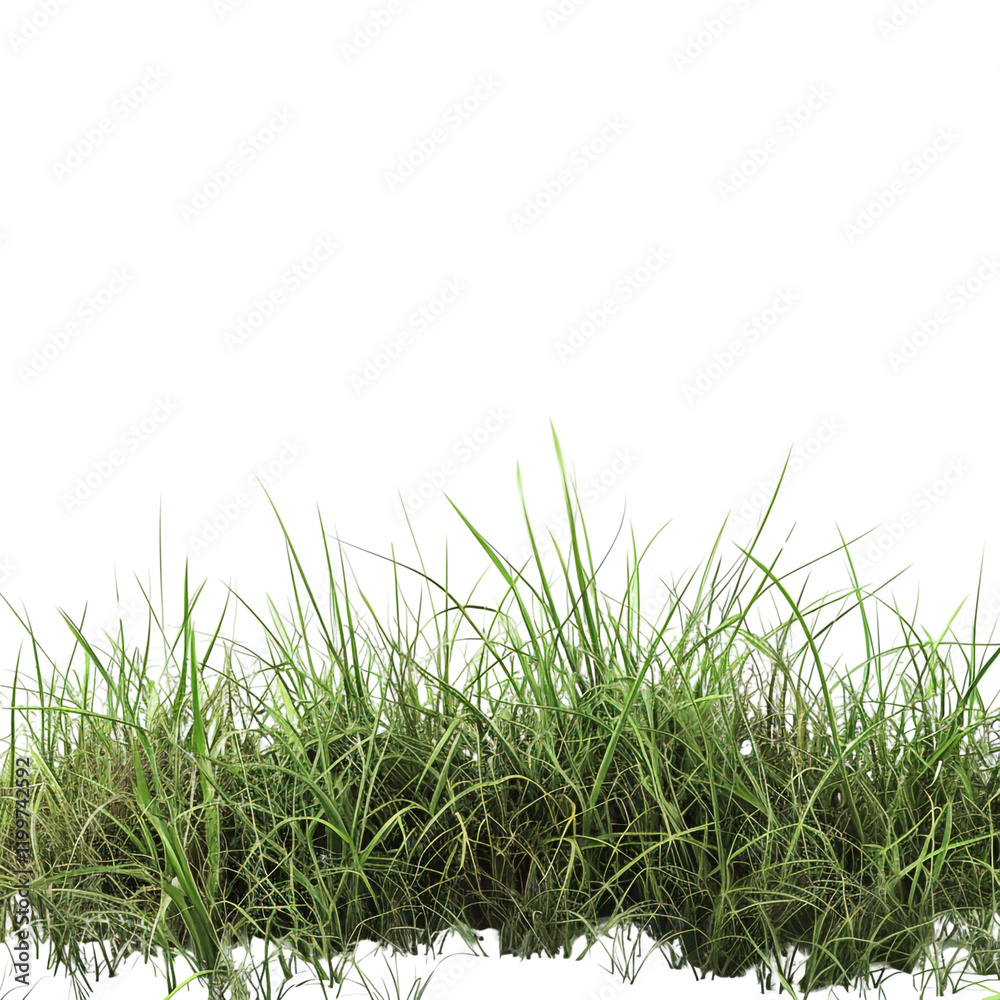 Fototapeta premium Lush green grass isolated on transparent background perfect for landscaping design or nature projects adds vibrant greenery to any scene
