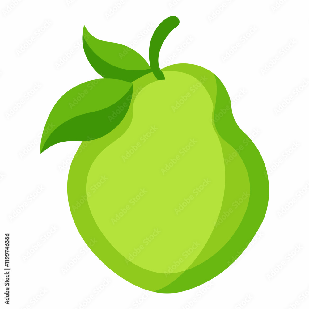 vector illustration of an chayote vector illustration of an chayote