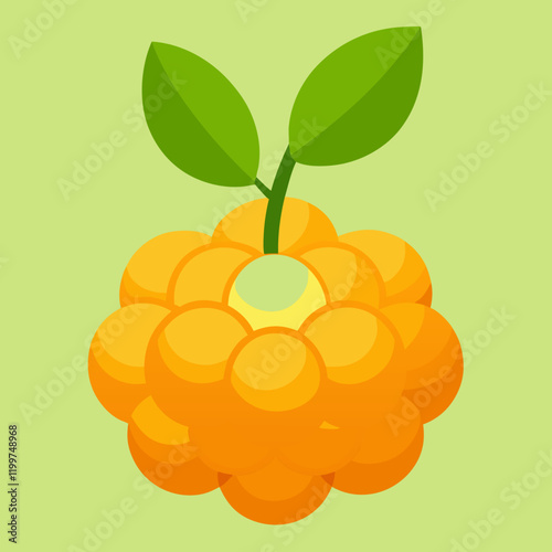 vector illustration of grapes cloudberry