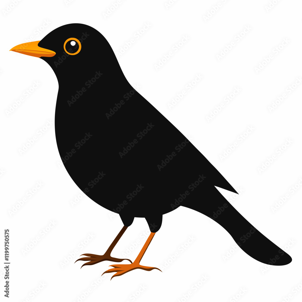 Fototapeta premium common blackbird cartoon vector