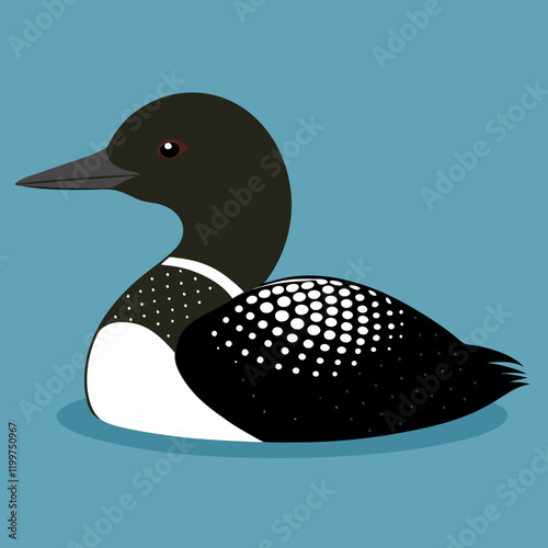 illustration of a duck common loon