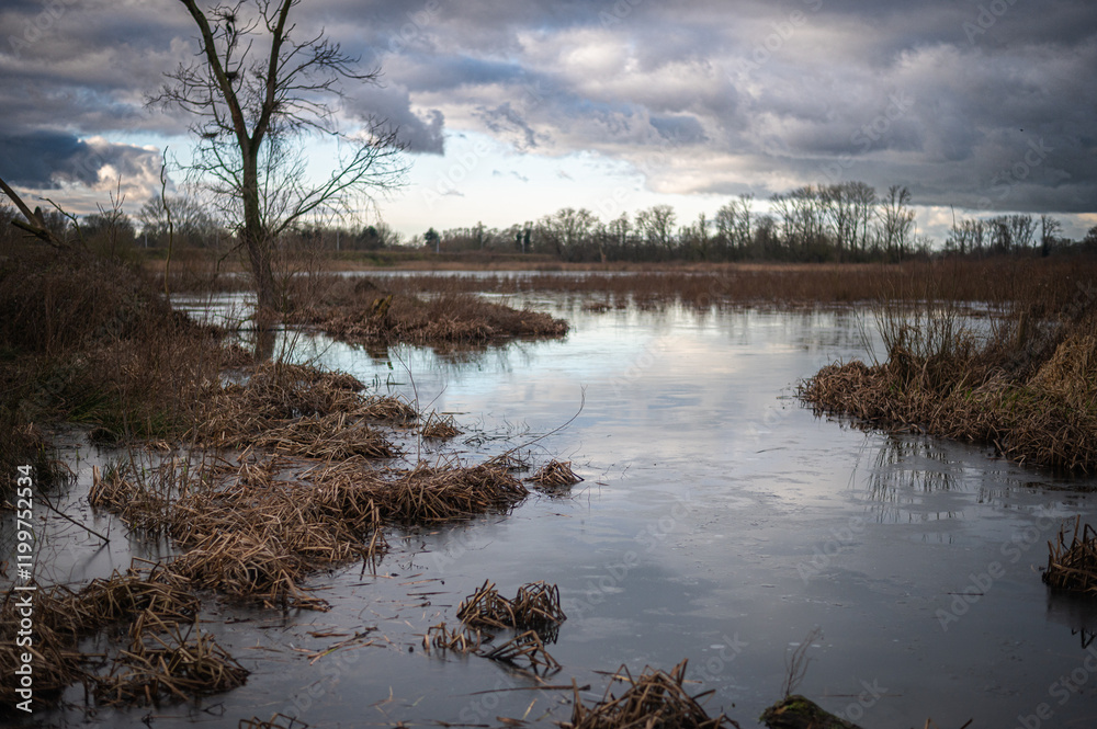 Obraz premium Ghent Bourgoyen-Ossemeersen