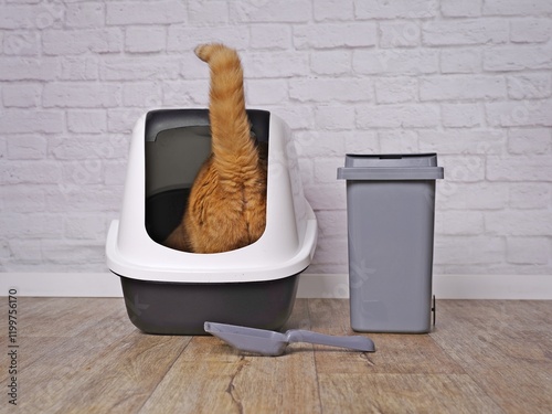 Funny orange cat step inside a fresh litter box next to a trash can. Horizontal image.