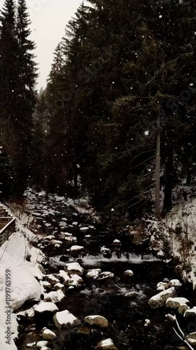 Snowflakes falling on a dark river Upa flowing through snowy banks and pine trees in Pec pod Sněžkou, in Trutnov District in the Hradec Králové Region of the Czech Republic