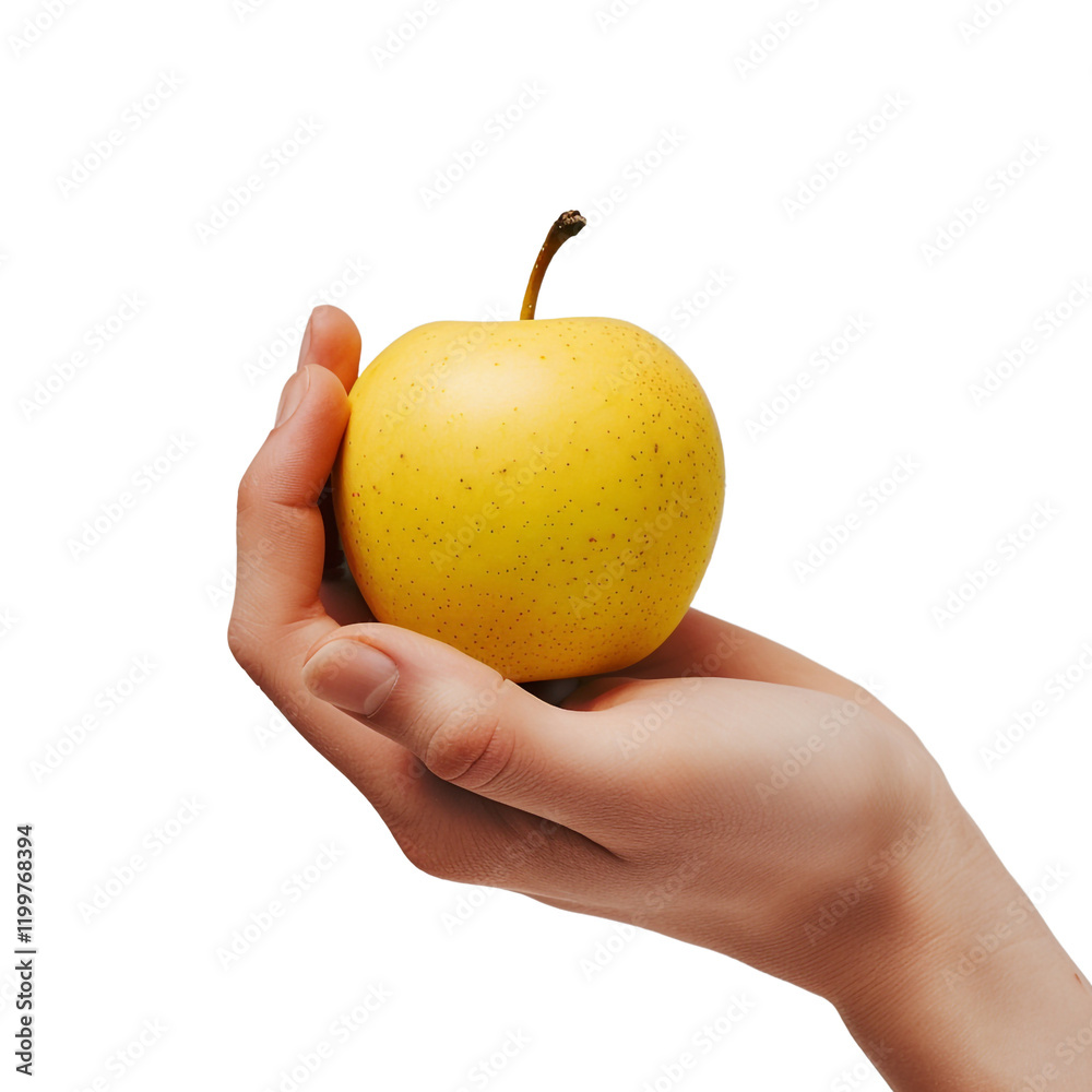 A hand holds a ripe yellow apple fresh fruit healthy eating nutritious food diet vitamin C delicious snack agriculture harvest farm produce organic food A hand holds a ripe yellow apple fresh fruit healthy eating nutritious food diet vitamin C delicious snack agriculture harvest farm produce organic food