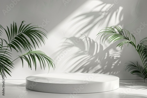 White Concrete Podium with Palm Silhouette for Minimalist Product Display