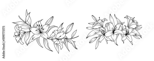 Lily flower arrangement line art on white background. Silhouette lilies botanical hand drawn element for wedding, invitation frame design, vector illustration