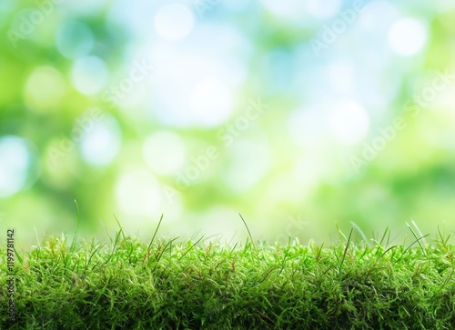Close-up of green moss on a blurred background, with ample space for text. The color theme is predominantly green, 
