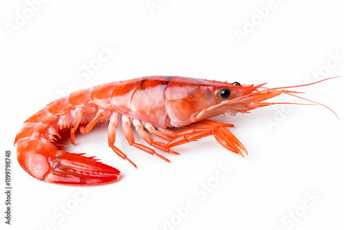 Wallpaper Mural A red shrimp isolated on white background, PNG, seafood concept Torontodigital.ca