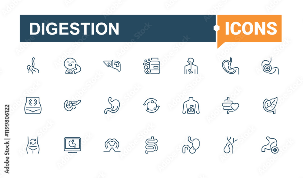 Digestion icons set. Icons intestine, nausea, digestion, bladder, man, stomach and more. Collection for mobile and web apps. Editable stroke. Vector illustration. Digestion icons set. Icons intestine, nausea, digestion, bladder, man, stomach and more. Collection for mobile and web apps. Editable stroke. Vector illustration.