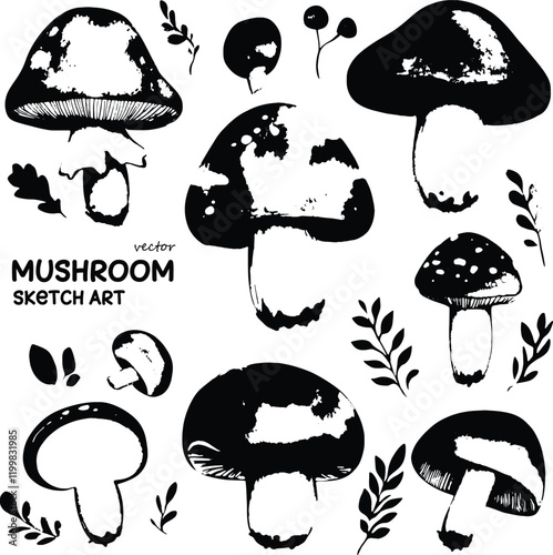 Mushroom Sketch Art Illustration | Vector