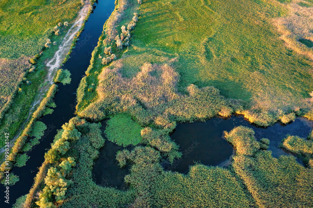Serenity unfolds in the lush wetlands as rivers intertwine beneath the golden hour light. Aerial photo.