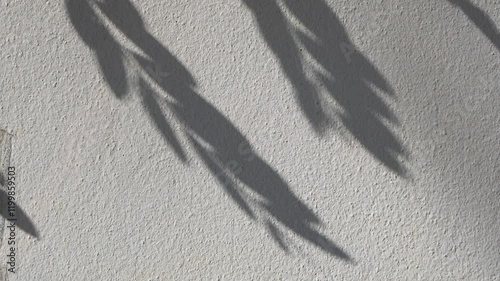 4K footage shadows of leaves moving slowly in the wind on a gray cement background.