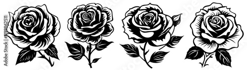 set of hand-drawn black rose illustrations, monochrome floral design