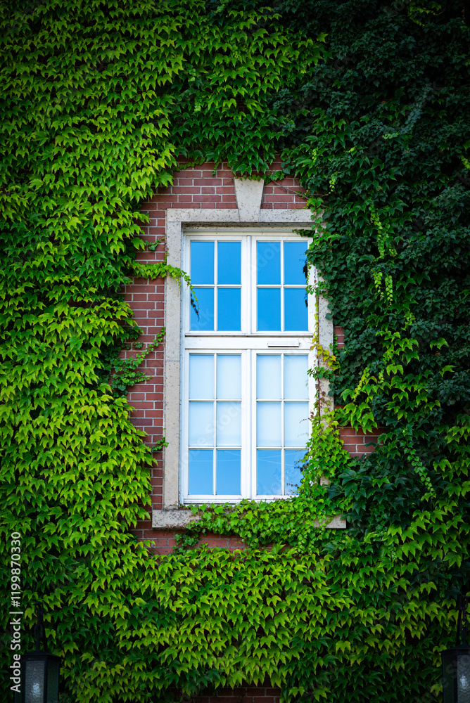 the facade of the building is intertwined with ivy the facade of the building is intertwined with ivy