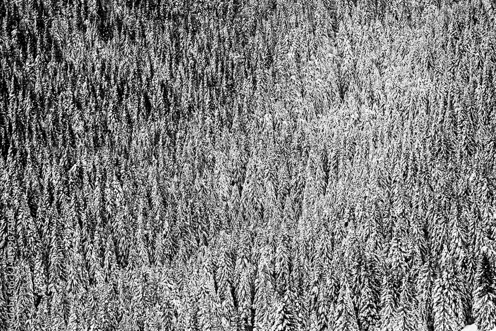 Mount Grappa