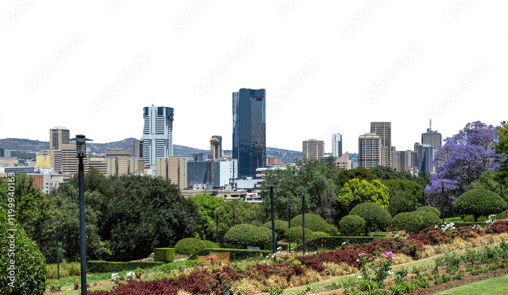 Fototapeta premium Pretoria city center isolated on white, transparent sky. high rise buildings and blooming jacaranda trees. South Africa.