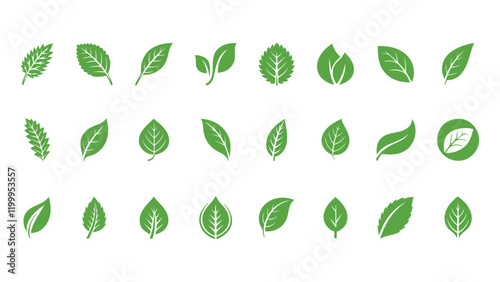Wallpaper Mural Green Leaf Icon Set, Flat style nature icons. on white background. Vector illustration Torontodigital.ca