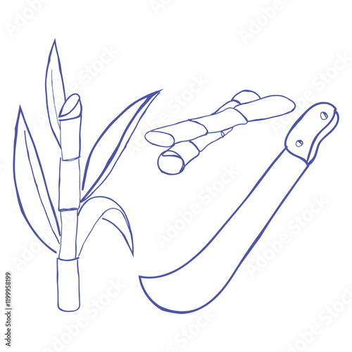 hand drawn line art vector of sugarcane harvest elements. Agriculture and sugar market.