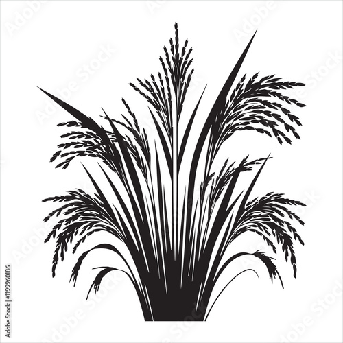 Rice plant silhouette on white background
