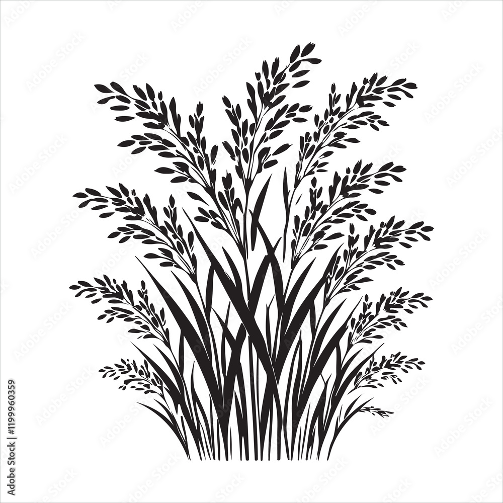 Fototapeta premium Rice plant silhouette on white background 