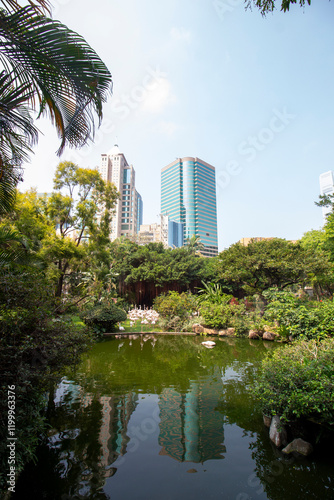 Photography Hongkong Garden of Life Flamingos and skyscrapers with mirror images in lake