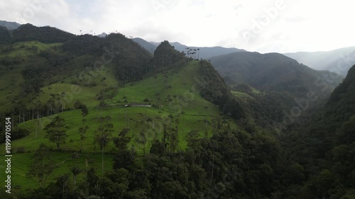 beautiful mountain range with palm trees