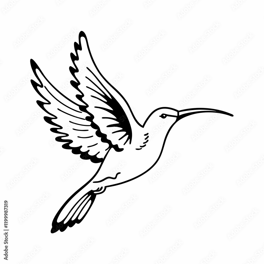 Obraz premium hummingbird in flight