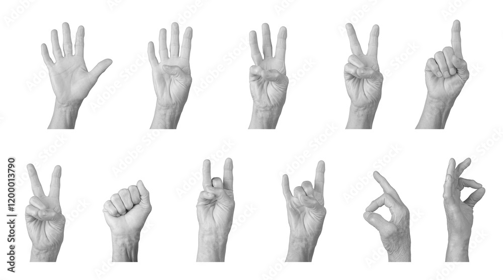 Elderly hand showing counting gestures and signs like peace, fist, and rock horn, wrinkled skin, gray tones, expressive communication and numbers 1 to 5. Isolated on white background. Elderly hand showing counting gestures and signs like peace, fist, and rock horn, wrinkled skin, gray tones, expressive communication and numbers 1 to 5. Isolated on white background.